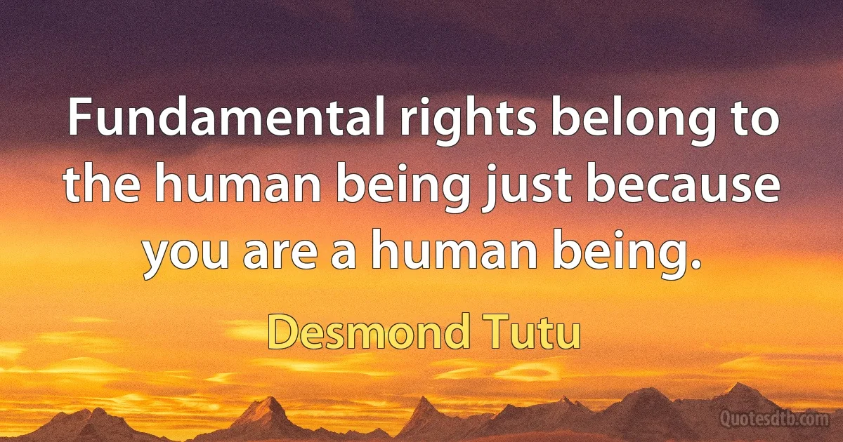 Fundamental rights belong to the human being just because you are a human being. (Desmond Tutu)