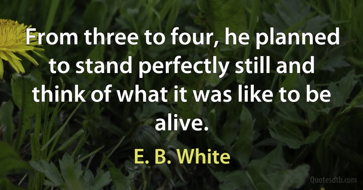 From three to four, he planned to stand perfectly still and think of what it was like to be alive. (E. B. White)