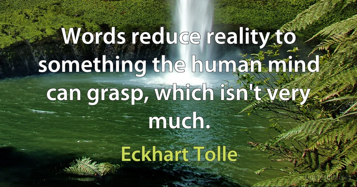 Words reduce reality to something the human mind can grasp, which isn't very much. (Eckhart Tolle)