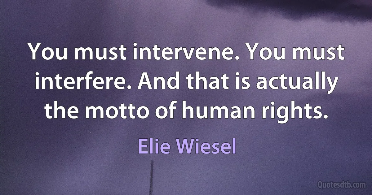 You must intervene. You must interfere. And that is actually the motto of human rights. (Elie Wiesel)