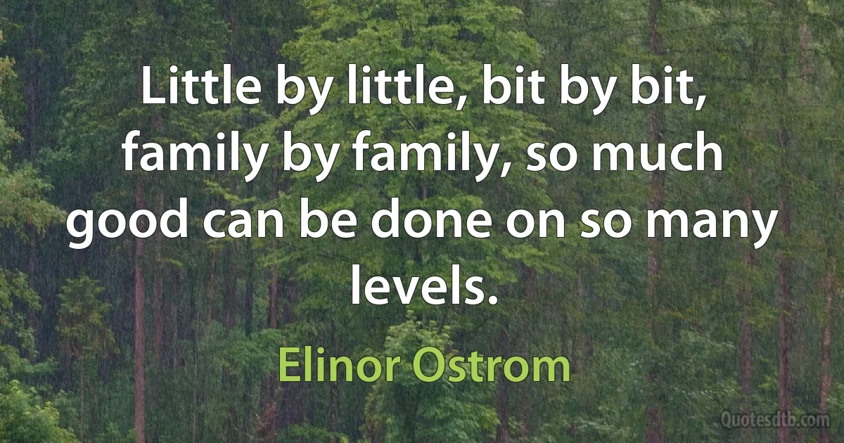 Little by little, bit by bit, family by family, so much good can be done on so many levels. (Elinor Ostrom)