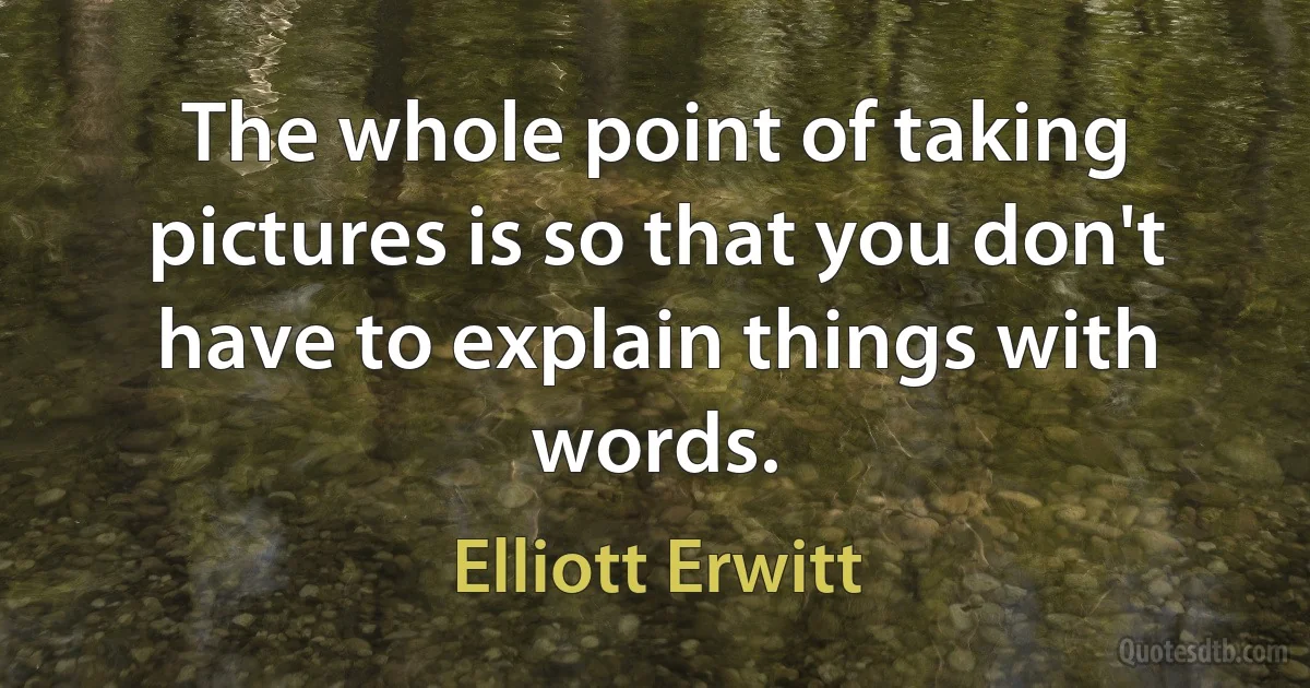 The whole point of taking pictures is so that you don't have to explain things with words. (Elliott Erwitt)