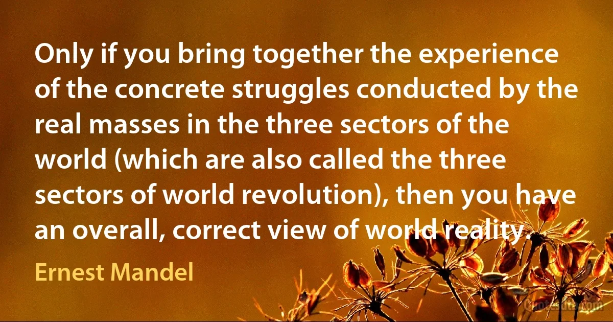 Only if you bring together the experience of the concrete struggles conducted by the real masses in the three sectors of the world (which are also called the three sectors of world revolution), then you have an overall, correct view of world reality. (Ernest Mandel)