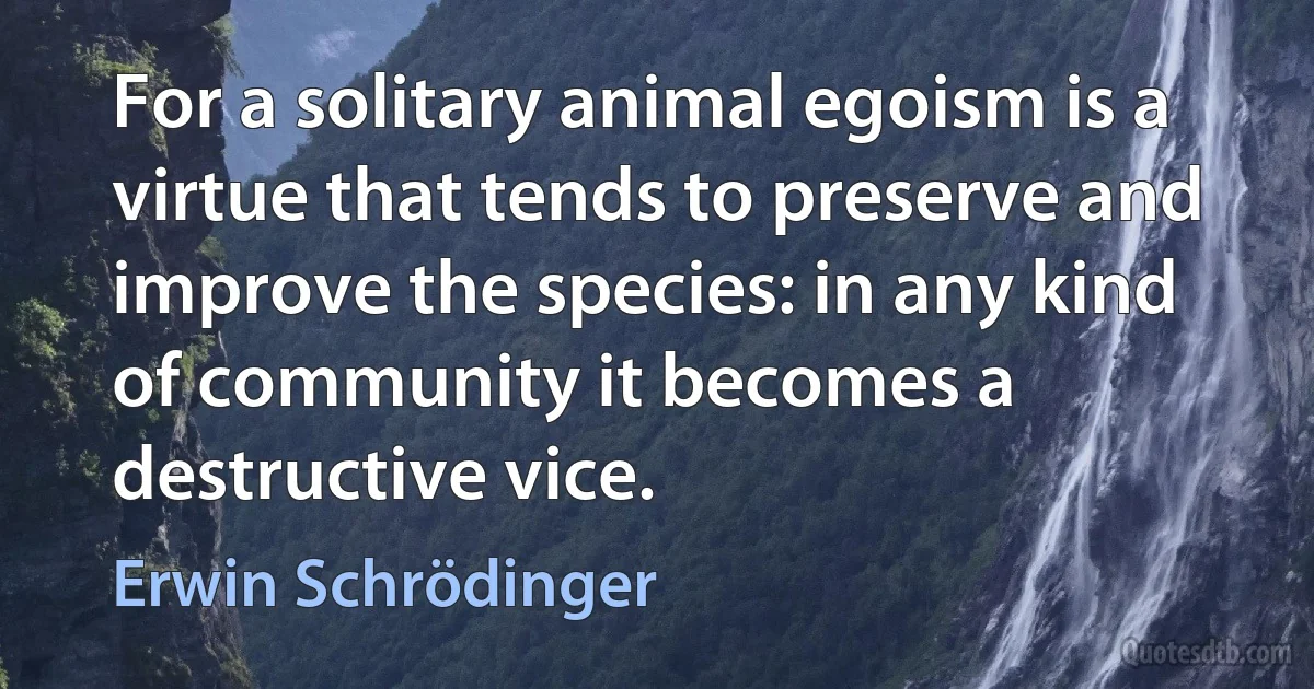 For a solitary animal egoism is a virtue that tends to preserve and improve the species: in any kind of community it becomes a destructive vice. (Erwin Schrödinger)