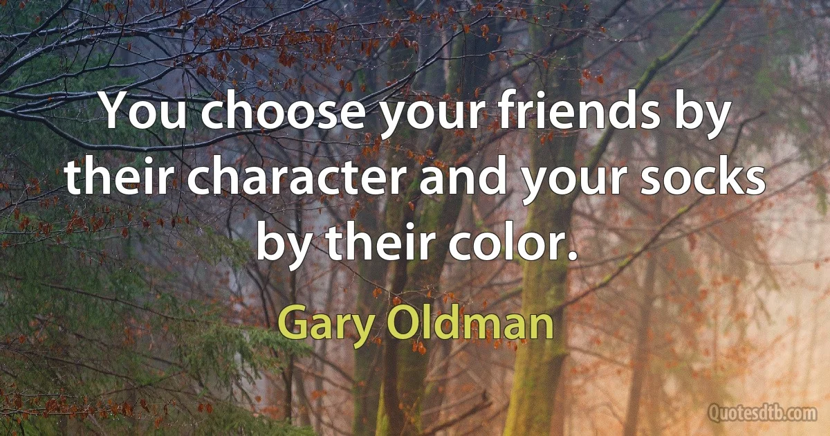 You choose your friends by their character and your socks by their color. (Gary Oldman)