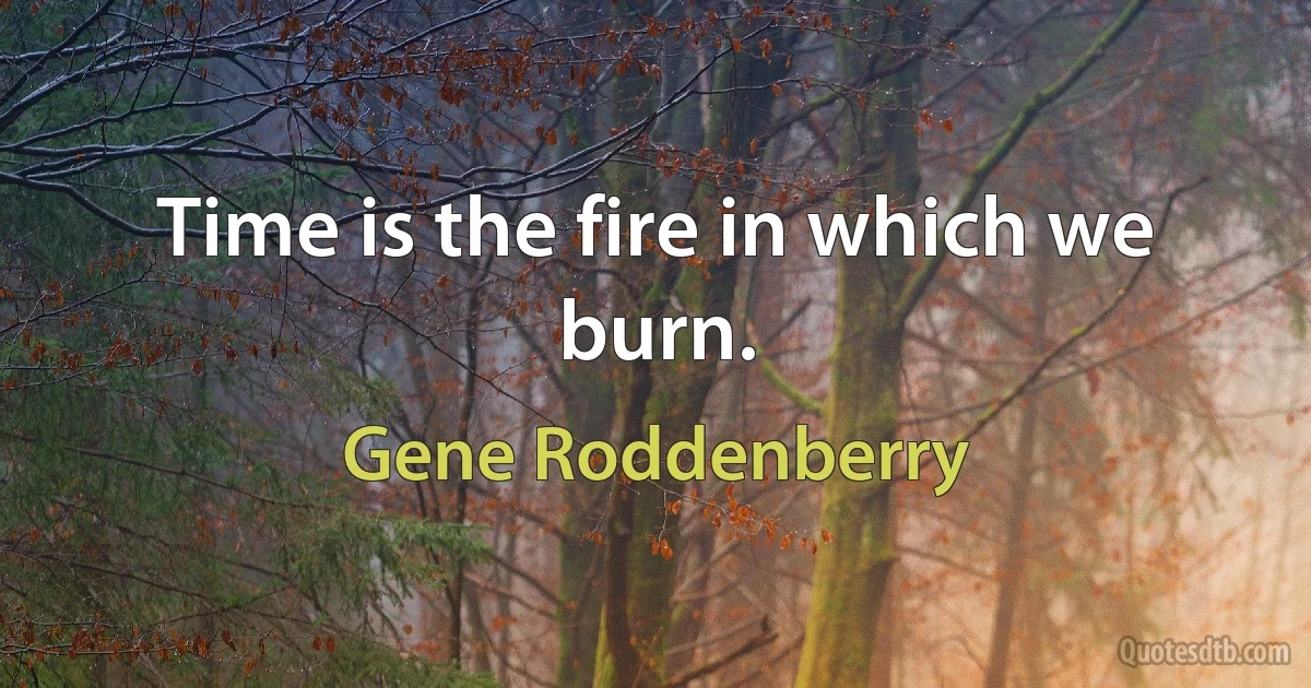 Time is the fire in which we burn. (Gene Roddenberry)