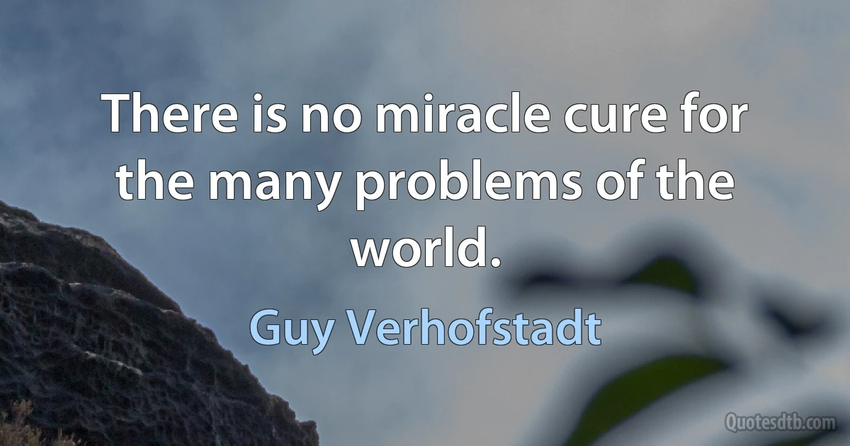 There is no miracle cure for the many problems of the world. (Guy Verhofstadt)