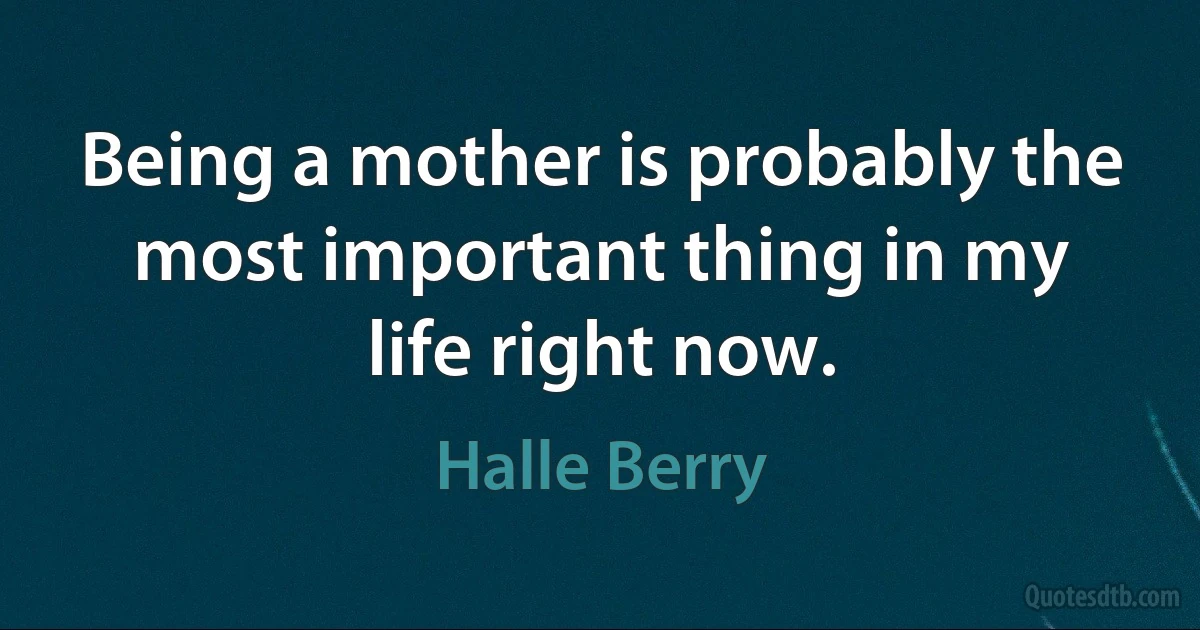 Being a mother is probably the most important thing in my life right now. (Halle Berry)