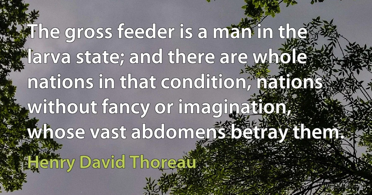 The gross feeder is a man in the larva state; and there are whole nations in that condition, nations without fancy or imagination, whose vast abdomens betray them. (Henry David Thoreau)