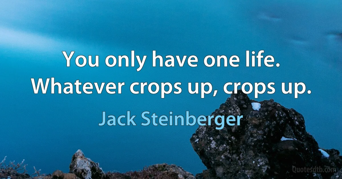 You only have one life. Whatever crops up, crops up. (Jack Steinberger)