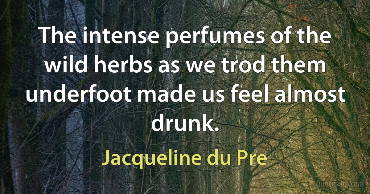 The intense perfumes of the wild herbs as we trod them underfoot made us feel almost drunk. (Jacqueline du Pre)