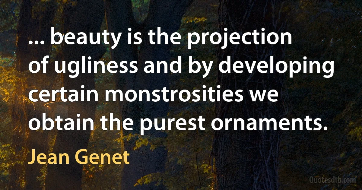 ... beauty is the projection of ugliness and by developing certain monstrosities we obtain the purest ornaments. (Jean Genet)