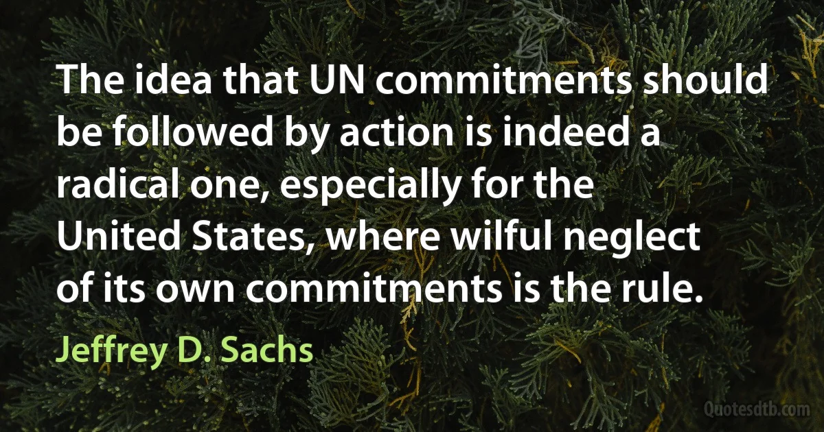 The idea that UN commitments should be followed by action is indeed a radical one, especially for the United States, where wilful neglect of its own commitments is the rule. (Jeffrey D. Sachs)