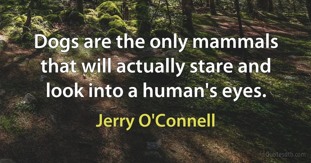 Dogs are the only mammals that will actually stare and look into a human's eyes. (Jerry O'Connell)