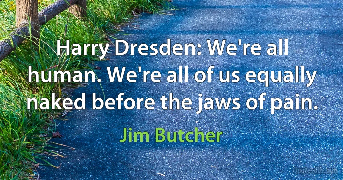 Harry Dresden: We're all human. We're all of us equally naked before the jaws of pain. (Jim Butcher)