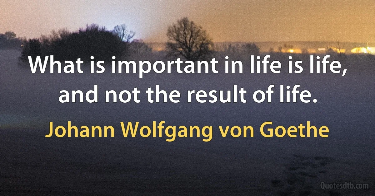 What is important in life is life, and not the result of life. (Johann Wolfgang von Goethe)