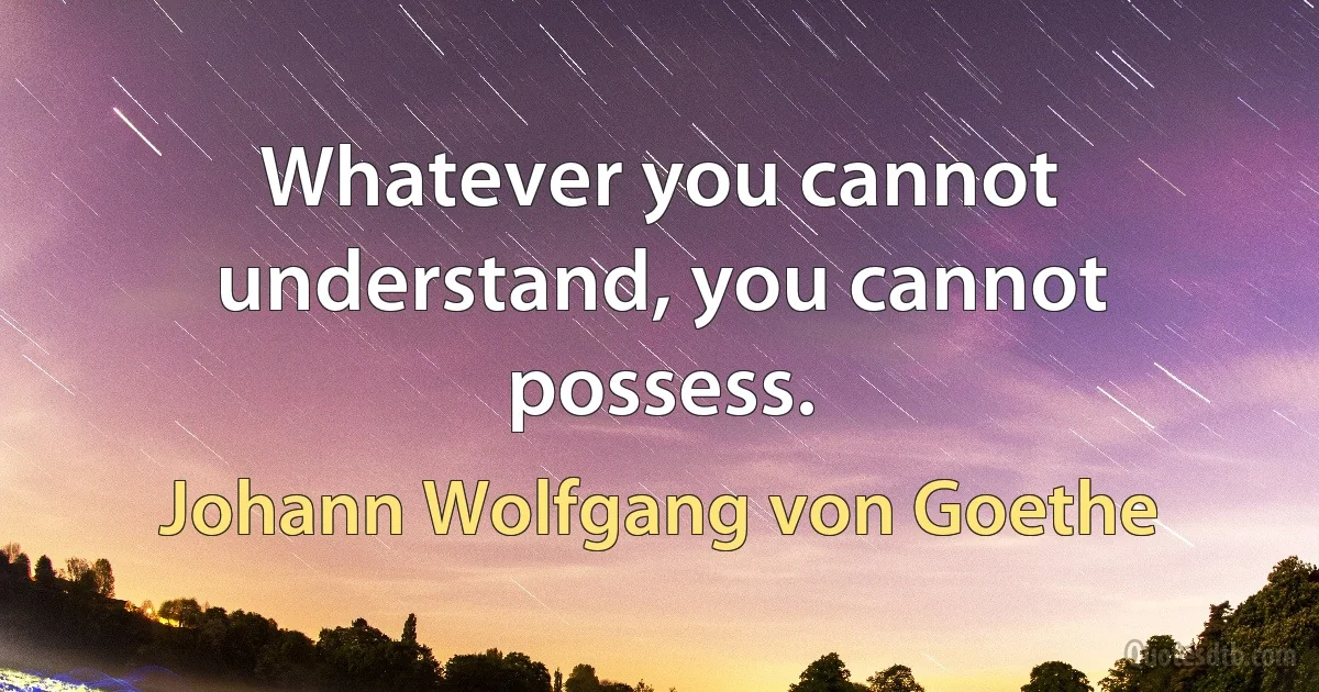 Whatever you cannot understand, you cannot possess. (Johann Wolfgang von Goethe)