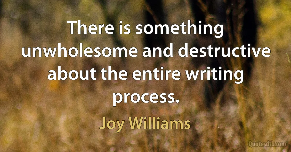 There is something unwholesome and destructive about the entire writing process. (Joy Williams)