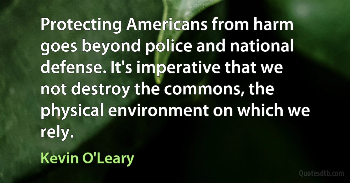 Protecting Americans from harm goes beyond police and national defense. It's imperative that we not destroy the commons, the physical environment on which we rely. (Kevin O'Leary)