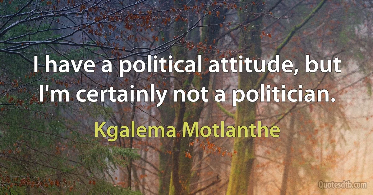 I have a political attitude, but I'm certainly not a politician. (Kgalema Motlanthe)