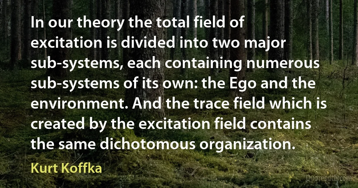 In our theory the total field of excitation is divided into two major sub-systems, each containing numerous sub-systems of its own: the Ego and the environment. And the trace field which is created by the excitation field contains the same dichotomous organization. (Kurt Koffka)