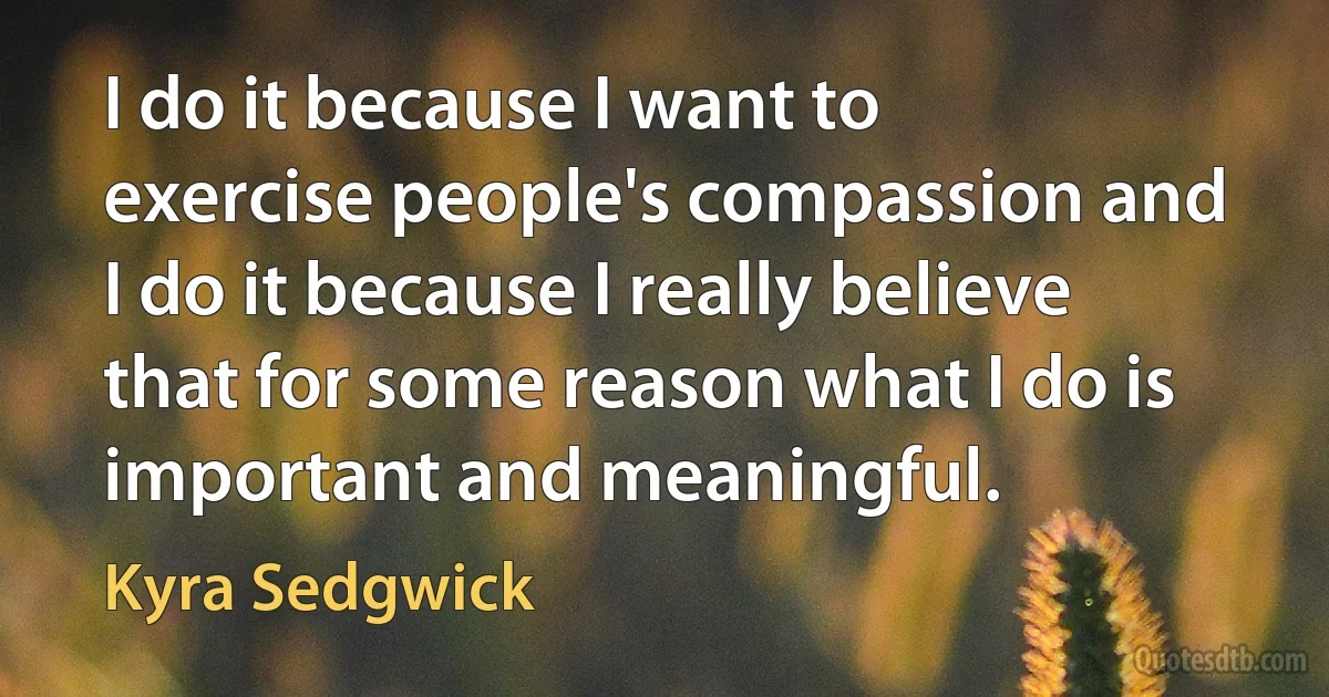 I do it because I want to exercise people's compassion and I do it because I really believe that for some reason what I do is important and meaningful. (Kyra Sedgwick)