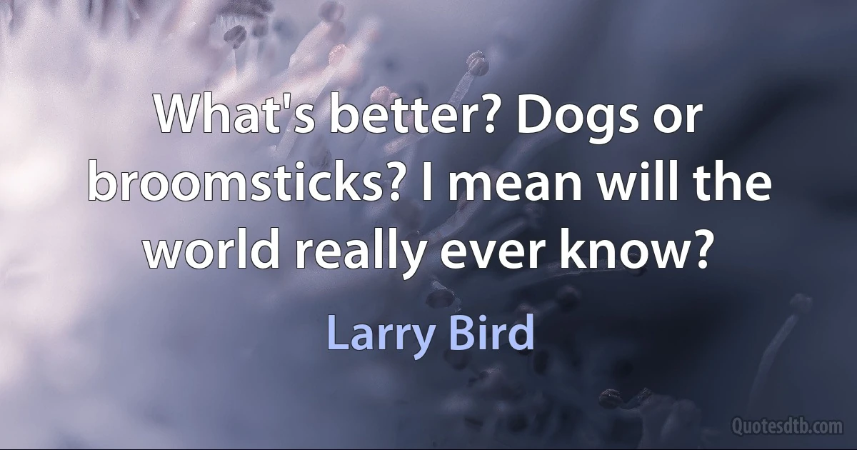 What's better? Dogs or broomsticks? I mean will the world really ever know? (Larry Bird)