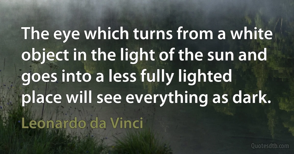 The eye which turns from a white object in the light of the sun and goes into a less fully lighted place will see everything as dark. (Leonardo da Vinci)