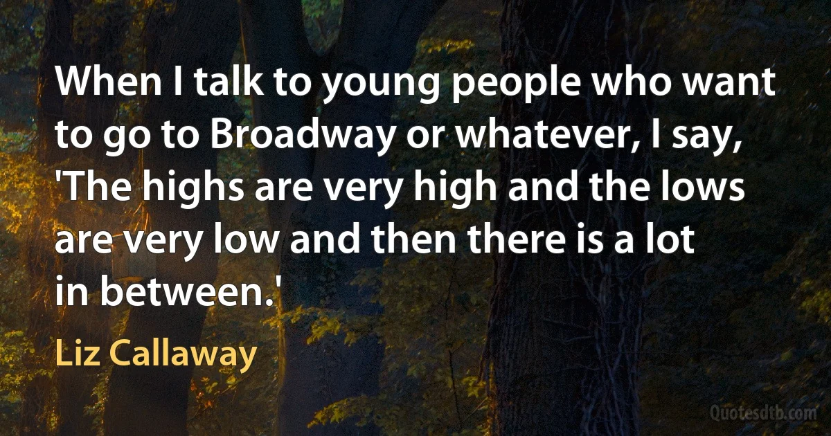 When I talk to young people who want to go to Broadway or whatever, I say, 'The highs are very high and the lows are very low and then there is a lot in between.' (Liz Callaway)