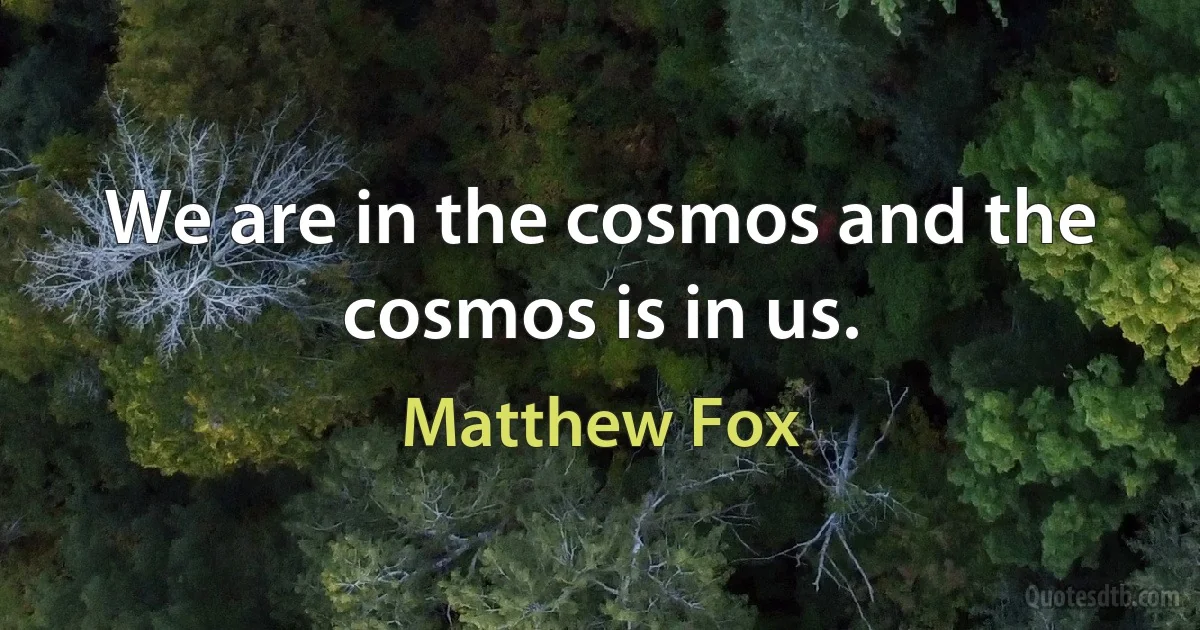 We are in the cosmos and the cosmos is in us. (Matthew Fox)