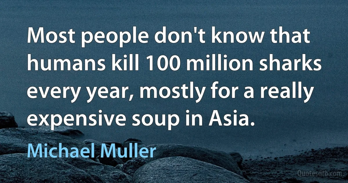 Most people don't know that humans kill 100 million sharks every year, mostly for a really expensive soup in Asia. (Michael Muller)