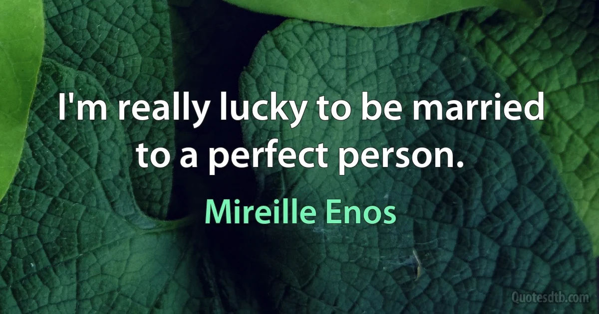 I'm really lucky to be married to a perfect person. (Mireille Enos)