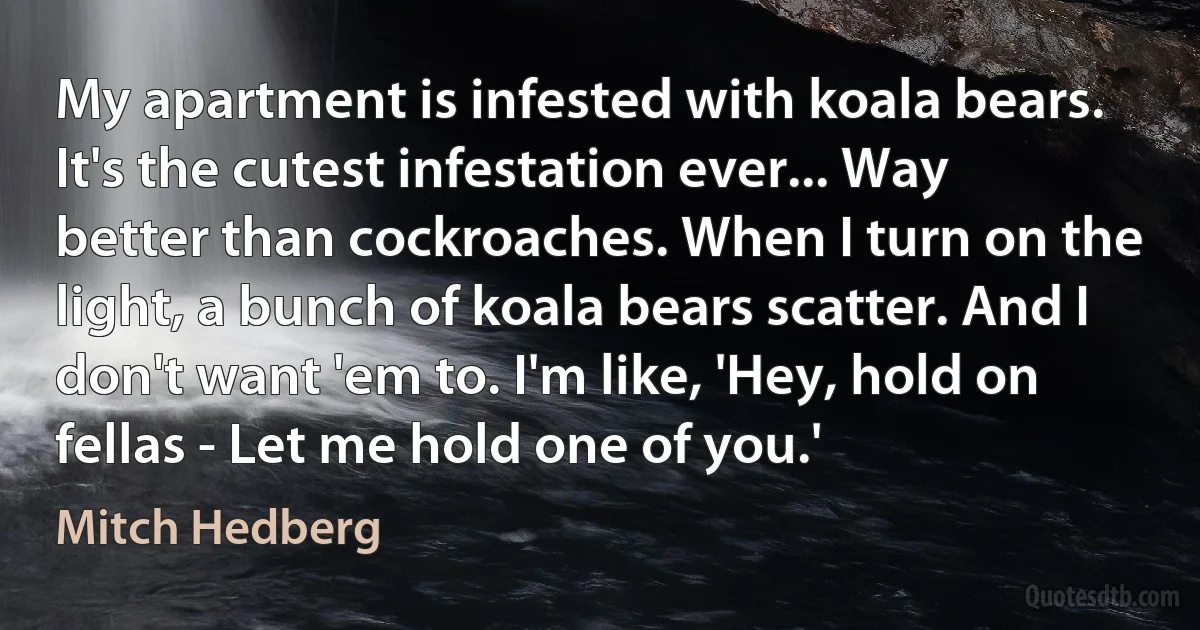 My apartment is infested with koala bears. It's the cutest infestation ever... Way better than cockroaches. When I turn on the light, a bunch of koala bears scatter. And I don't want 'em to. I'm like, 'Hey, hold on fellas - Let me hold one of you.' (Mitch Hedberg)