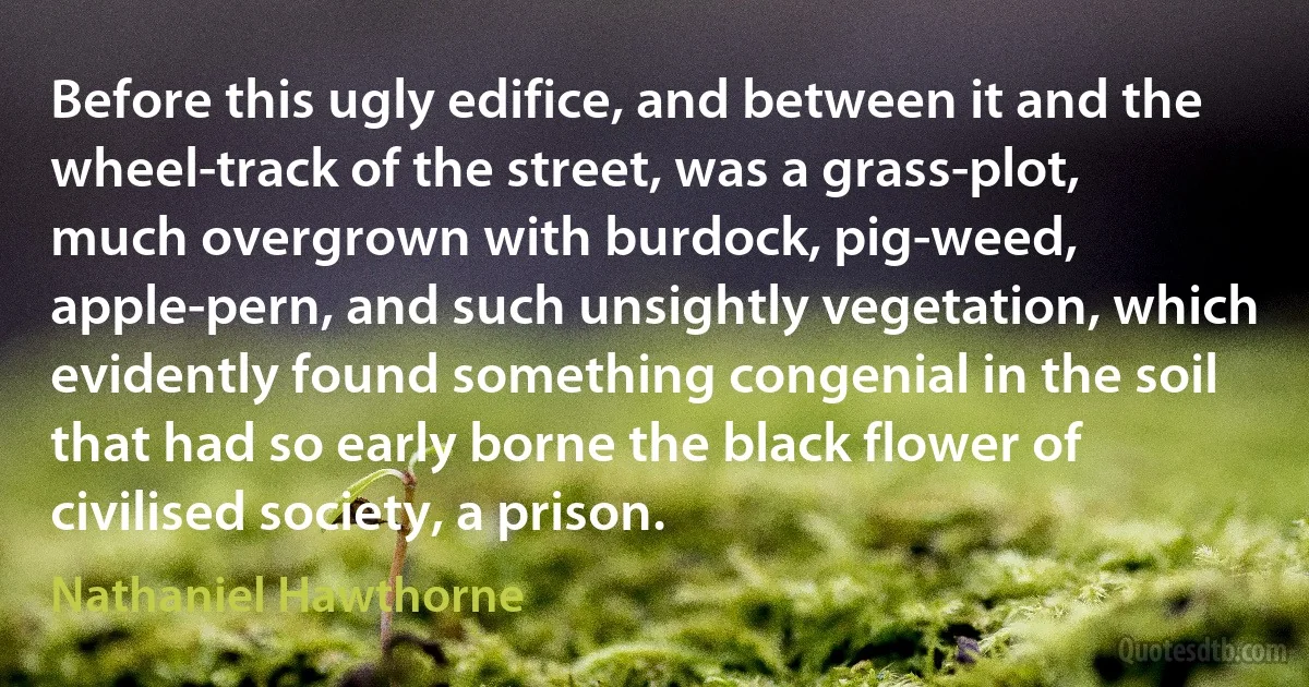 Before this ugly edifice, and between it and the wheel-track of the street, was a grass-plot, much overgrown with burdock, pig-weed, apple-pern, and such unsightly vegetation, which evidently found something congenial in the soil that had so early borne the black flower of civilised society, a prison. (Nathaniel Hawthorne)