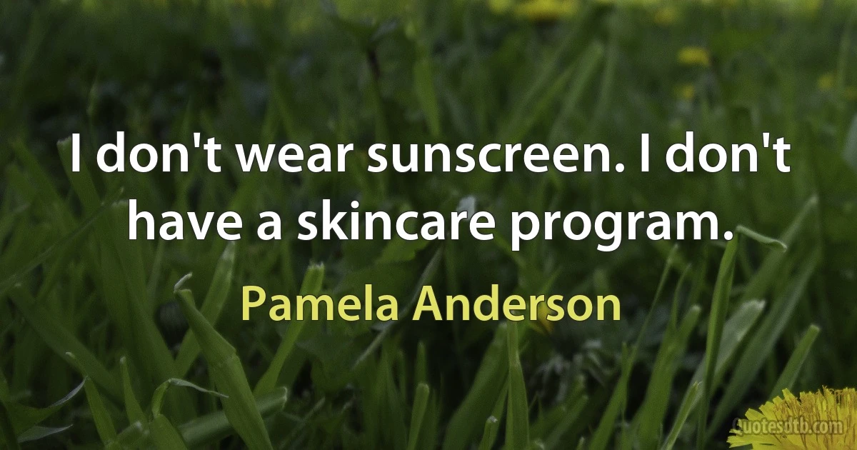 I don't wear sunscreen. I don't have a skincare program. (Pamela Anderson)