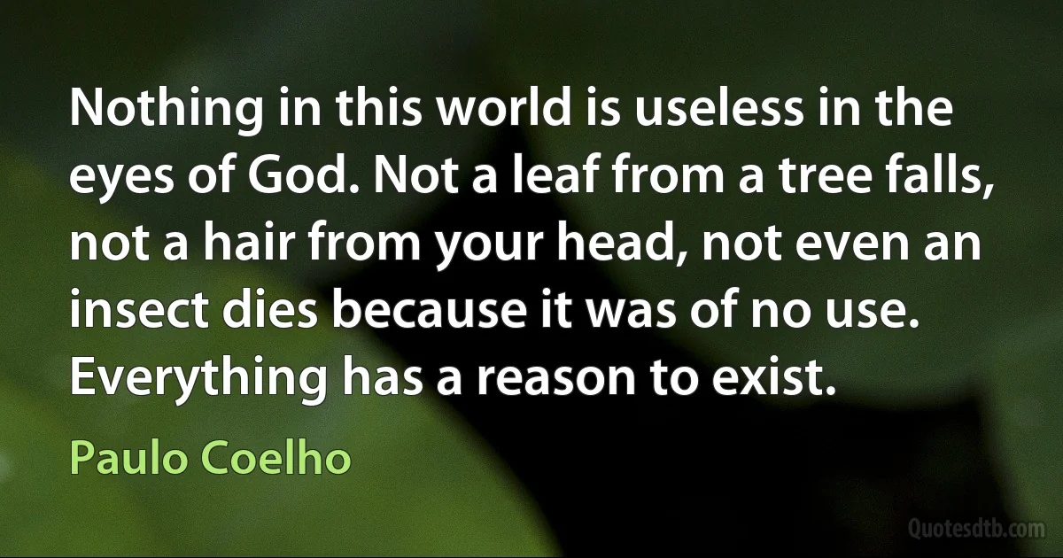 Nothing in this world is useless in the eyes of God. Not a leaf from a tree falls, not a hair from your head, not even an insect dies because it was of no use. Everything has a reason to exist. (Paulo Coelho)