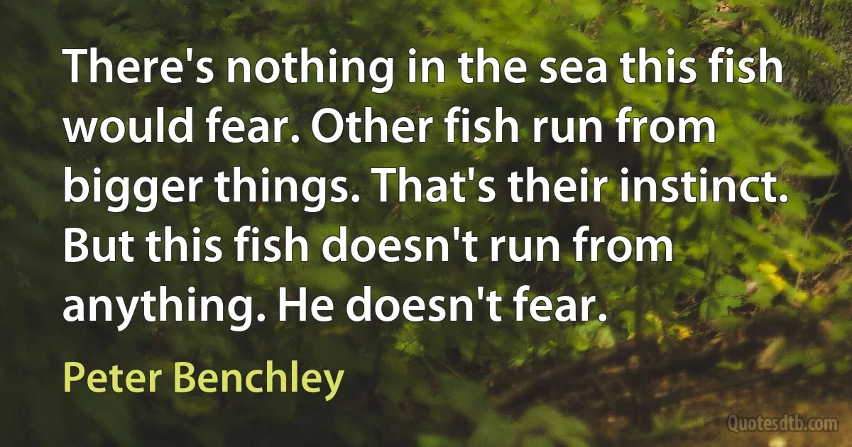 There's nothing in the sea this fish would fear. Other fish run from bigger things. That's their instinct. But this fish doesn't run from anything. He doesn't fear. (Peter Benchley)