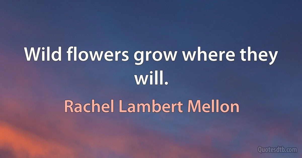 Wild flowers grow where they will. (Rachel Lambert Mellon)