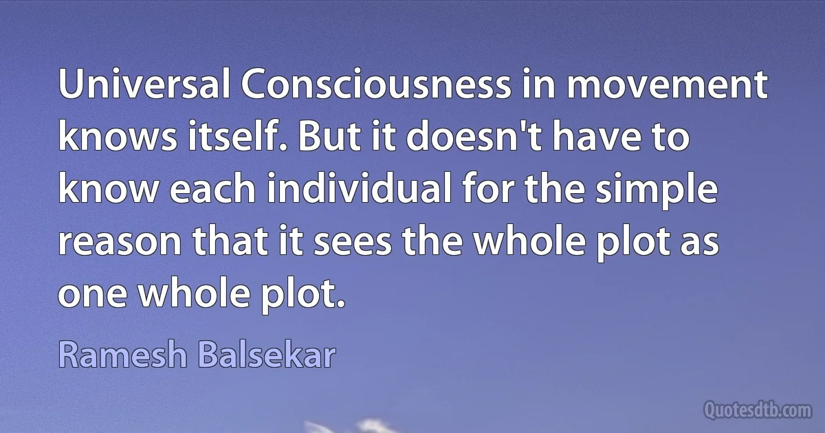 Universal Consciousness in movement knows itself. But it doesn't have to know each individual for the simple reason that it sees the whole plot as one whole plot. (Ramesh Balsekar)