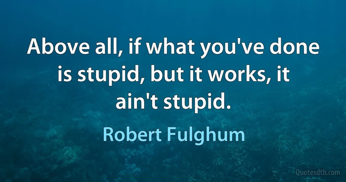 Above all, if what you've done is stupid, but it works, it ain't stupid. (Robert Fulghum)