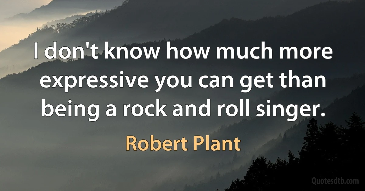 I don't know how much more expressive you can get than being a rock and roll singer. (Robert Plant)