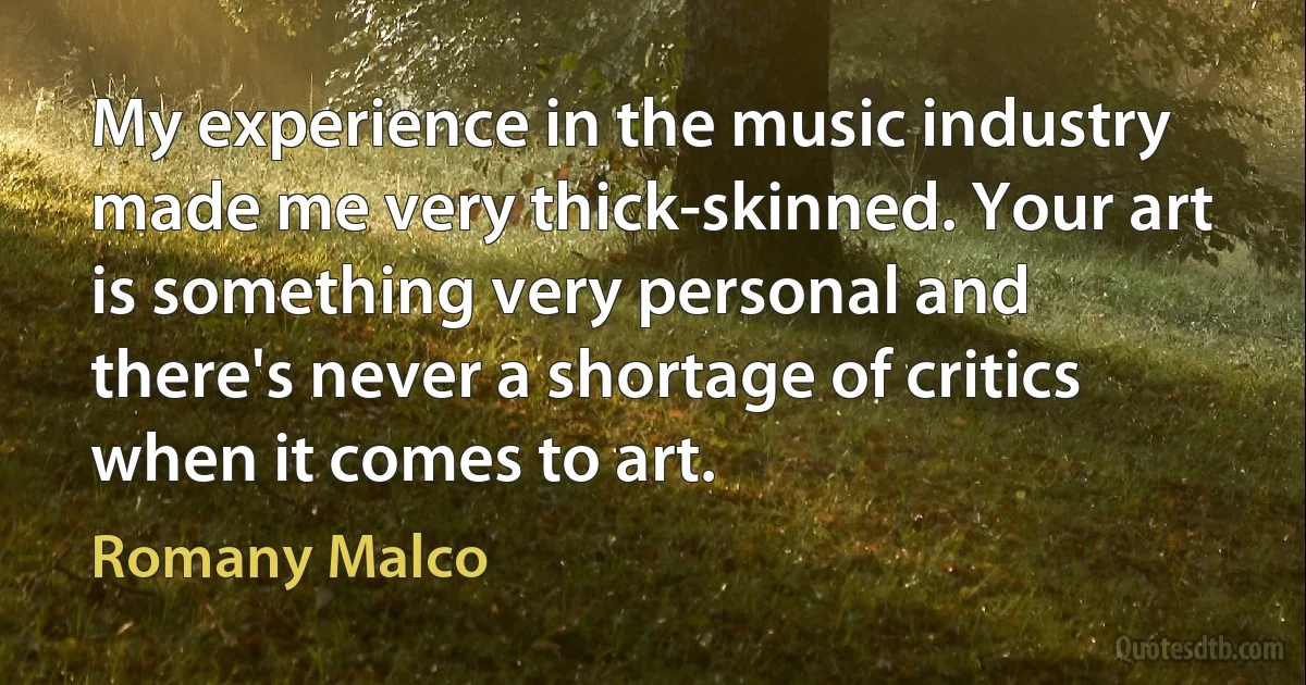 My experience in the music industry made me very thick-skinned. Your art is something very personal and there's never a shortage of critics when it comes to art. (Romany Malco)