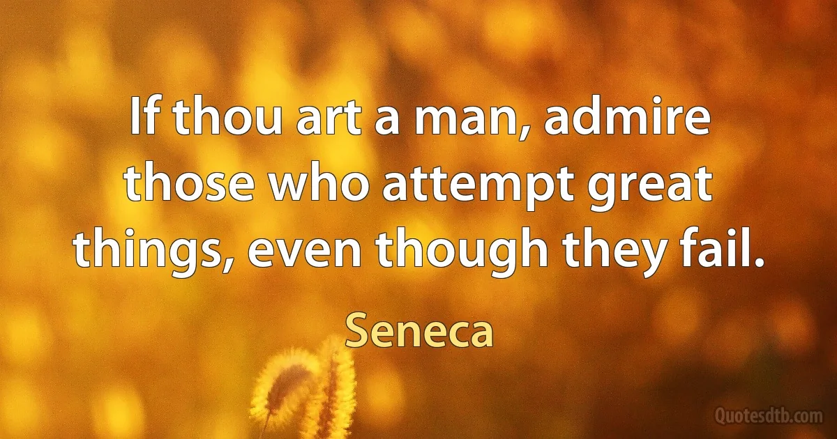 If thou art a man, admire those who attempt great things, even though they fail. (Seneca)