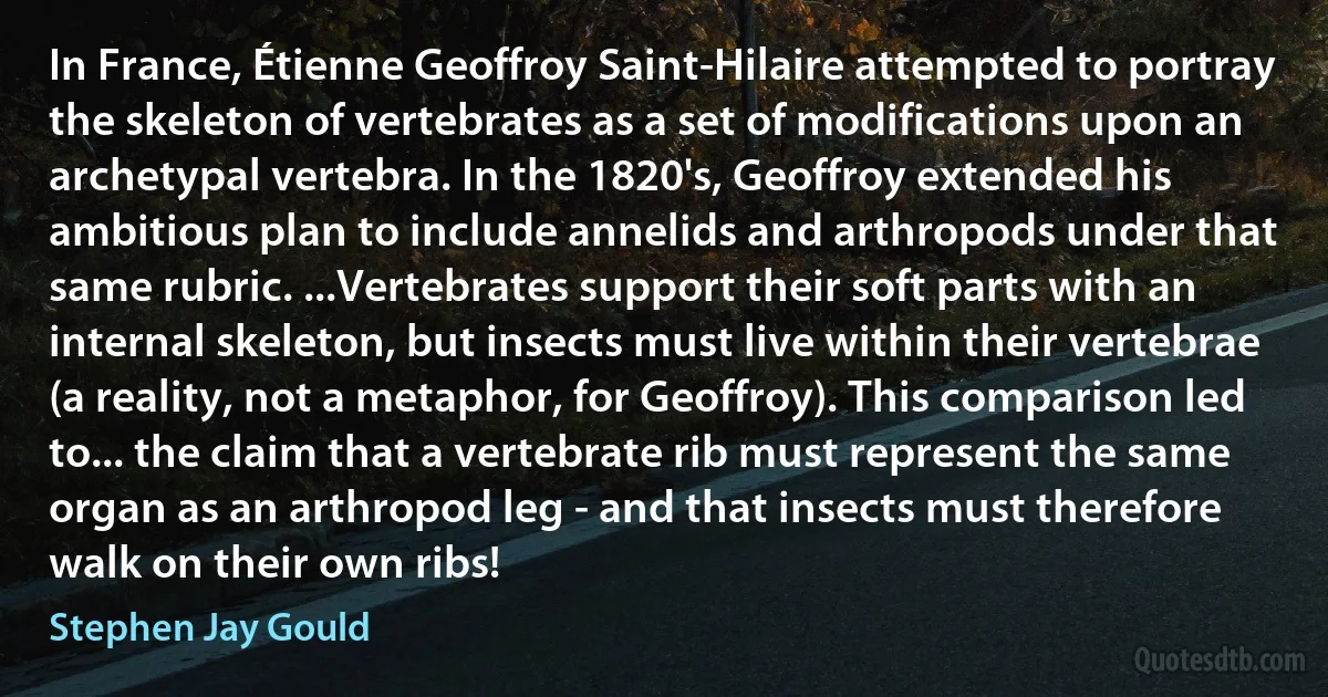 In France, Étienne Geoffroy Saint-Hilaire attempted to portray the skeleton of vertebrates as a set of modifications upon an archetypal vertebra. In the 1820's, Geoffroy extended his ambitious plan to include annelids and arthropods under that same rubric. ...Vertebrates support their soft parts with an internal skeleton, but insects must live within their vertebrae (a reality, not a metaphor, for Geoffroy). This comparison led to... the claim that a vertebrate rib must represent the same organ as an arthropod leg - and that insects must therefore walk on their own ribs! (Stephen Jay Gould)