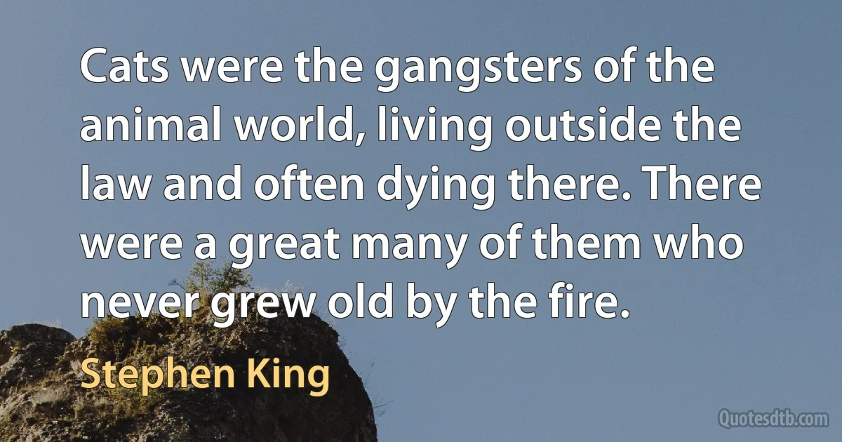 Cats were the gangsters of the animal world, living outside the law and often dying there. There were a great many of them who never grew old by the fire. (Stephen King)