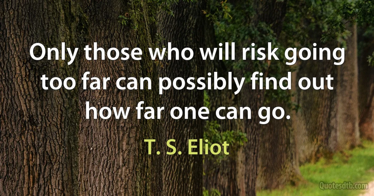 Only those who will risk going too far can possibly find out how far one can go. (T. S. Eliot)