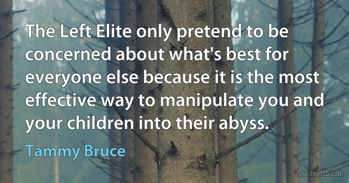 The Left Elite only pretend to be concerned about what's best for everyone else because it is the most effective way to manipulate you and your children into their abyss. (Tammy Bruce)