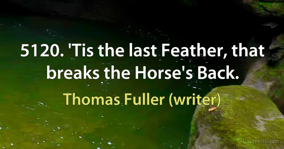 5120. 'Tis the last Feather, that breaks the Horse's Back. (Thomas Fuller (writer))