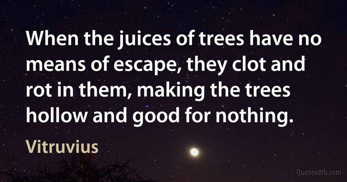 When the juices of trees have no means of escape, they clot and rot in them, making the trees hollow and good for nothing. (Vitruvius)