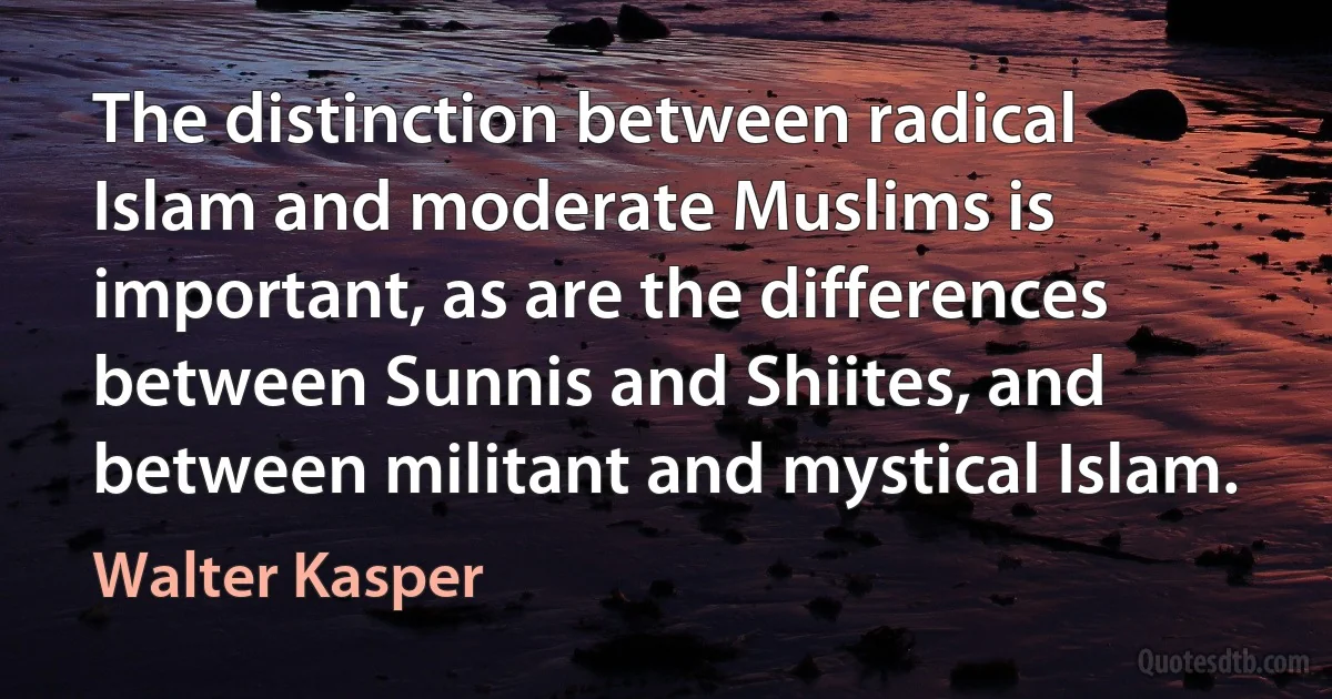 The distinction between radical Islam and moderate Muslims is important, as are the differences between Sunnis and Shiites, and between militant and mystical Islam. (Walter Kasper)